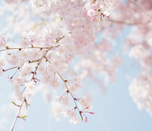 居宅介護支援事業所こーゆうケアネット