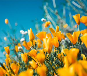 特定相談支援事業所こーゆうケアネット