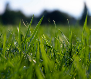 障害児相談支援事業所こーゆうケアネット